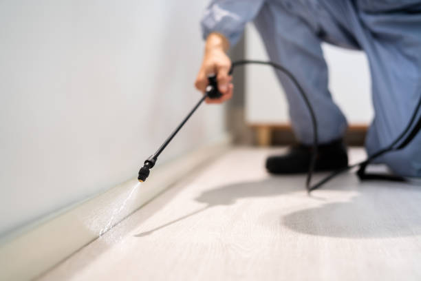 Licensed Pest Control service in Van Horn, TX - Show Me Pest Control