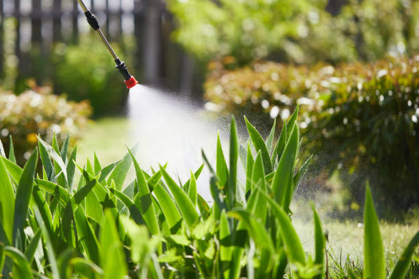 24/7 Emergency Wasp Removal experts in Van Horn, TX