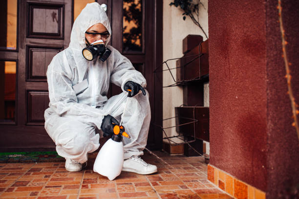 Reliable Wasp Removal contractor in Van Horn, TX by Show Me Pest Control